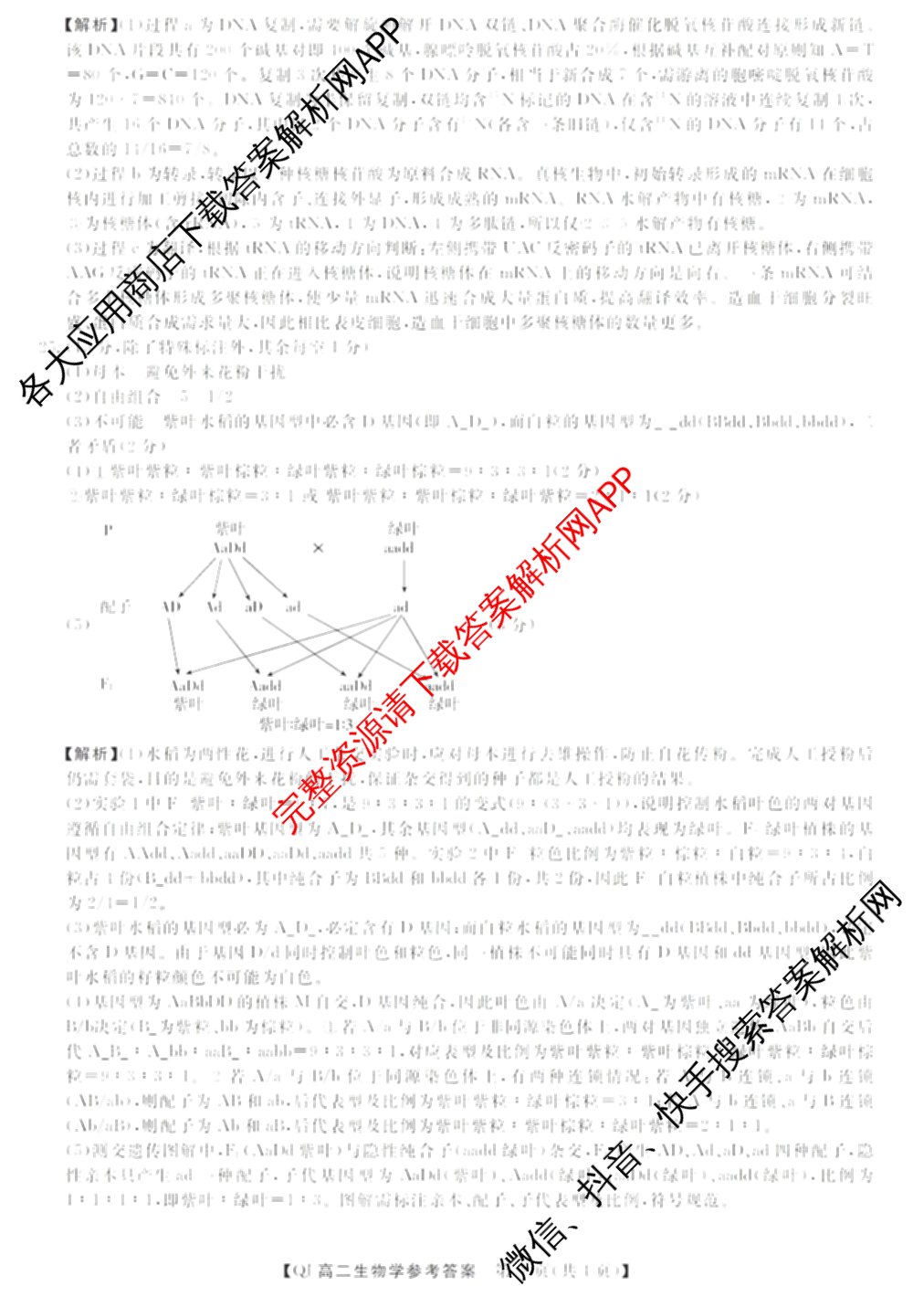 浙江强基联盟2026年高二9月题库(QJ)试卷及答案汇总（含物理、生物、历史等11份）生物答案