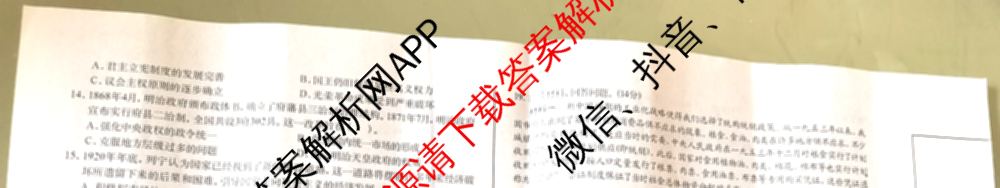 广西名校高考模拟试卷第一次调研考试[2025广西名校卷-3]（含化学 物理 历史等）历史试题
