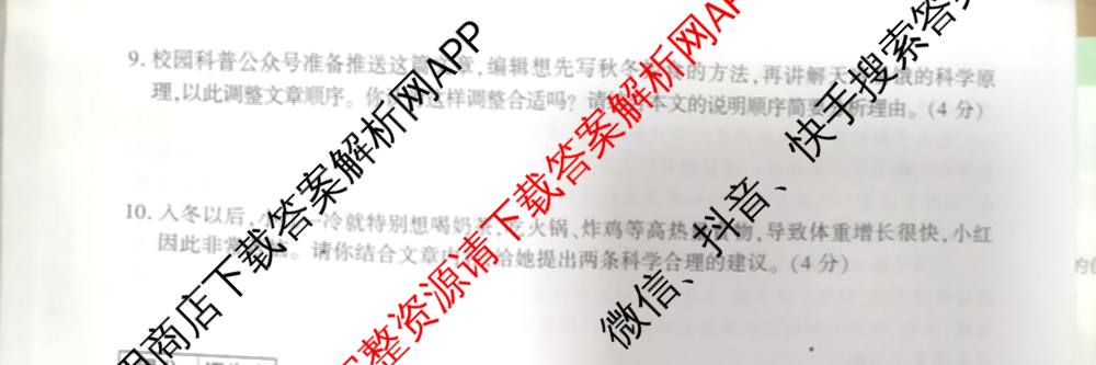 河南省南阳市西峡县2026年九年级阶段性评价(4月)（含化学 物理 语文等7份）语文试题
