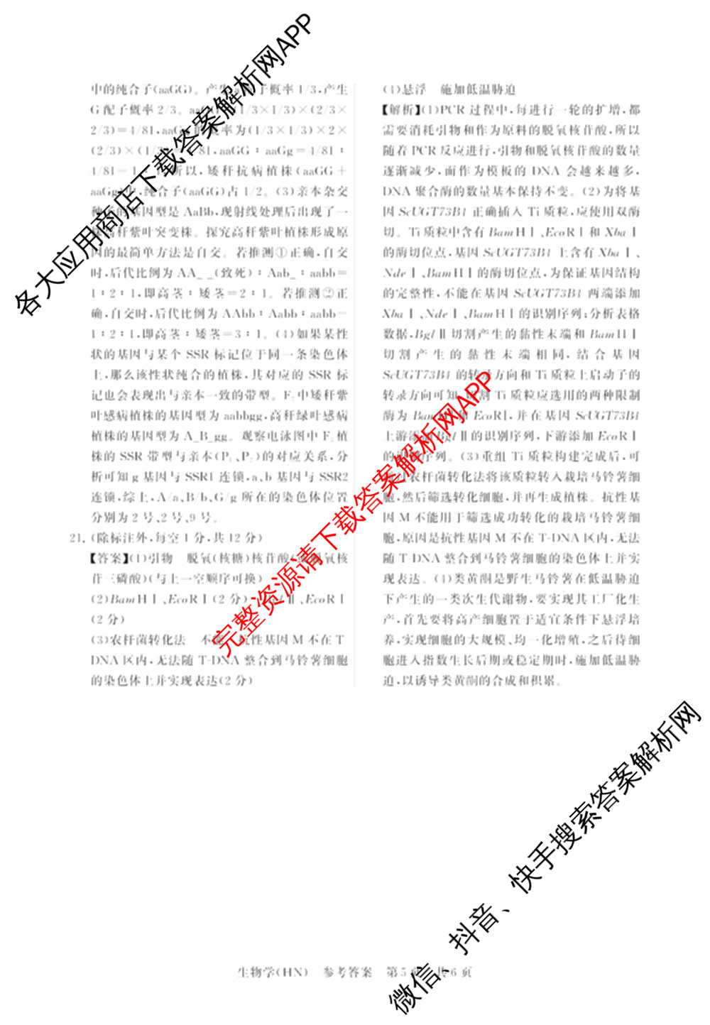 山西省2026届高三年级四月阶段练(SX)试卷及答案汇总(已更新生物(SX)、地理(HN)、政治(HN)等21份)生物答案