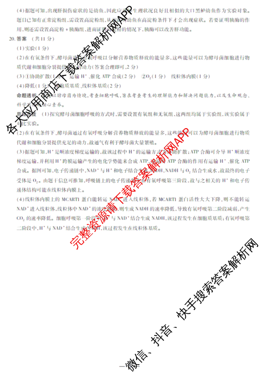 天一大联考2024-2025学年上学期高一年级期末检测试卷及答案汇总（含政治、生物、化学(鲁科版)等）生物答案
