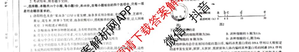 洛阳市2025届高三适应性模拟测试卷(一)各科答案及试卷(已更新化学、英语、语文等9份)生物试题