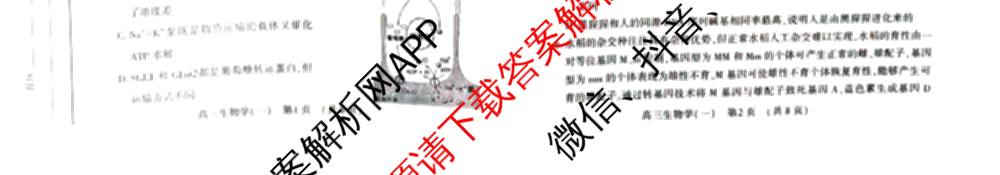 洛阳市2025届高三适应性模拟测试卷(一)各科答案及试卷(已更新化学、英语、语文等9份)生物试题
