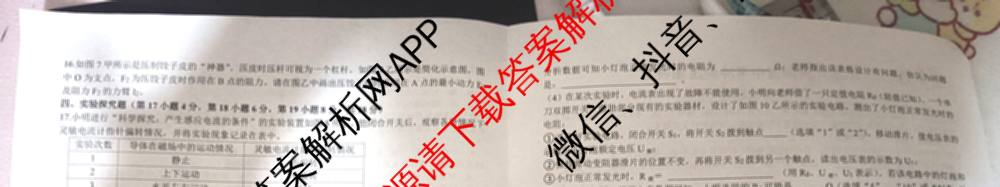 2025年河南省中考冲刺压轴卷B试题卷各科答案及试卷（含数学 物理 道德与法治等7份）物理试题