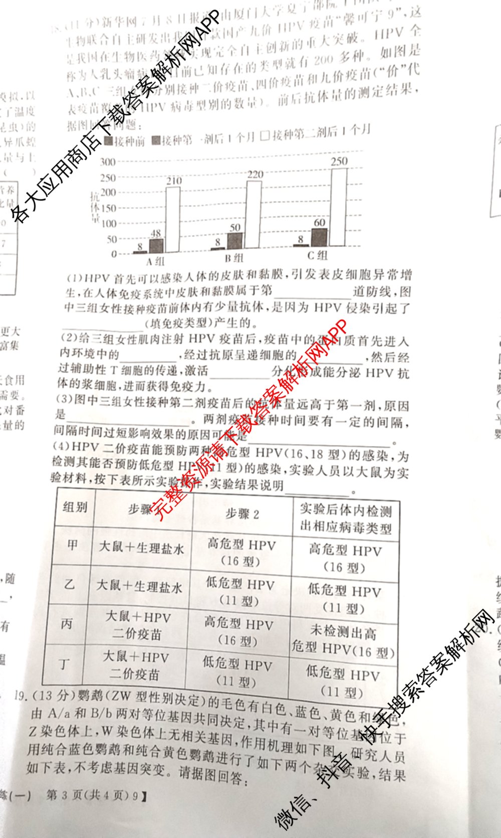 2026高考总复课堂测评信息冲刺压轴训练(一)1试卷及答案汇总（含化学(3)、历史(2)、物理(8)等21份）生物试题