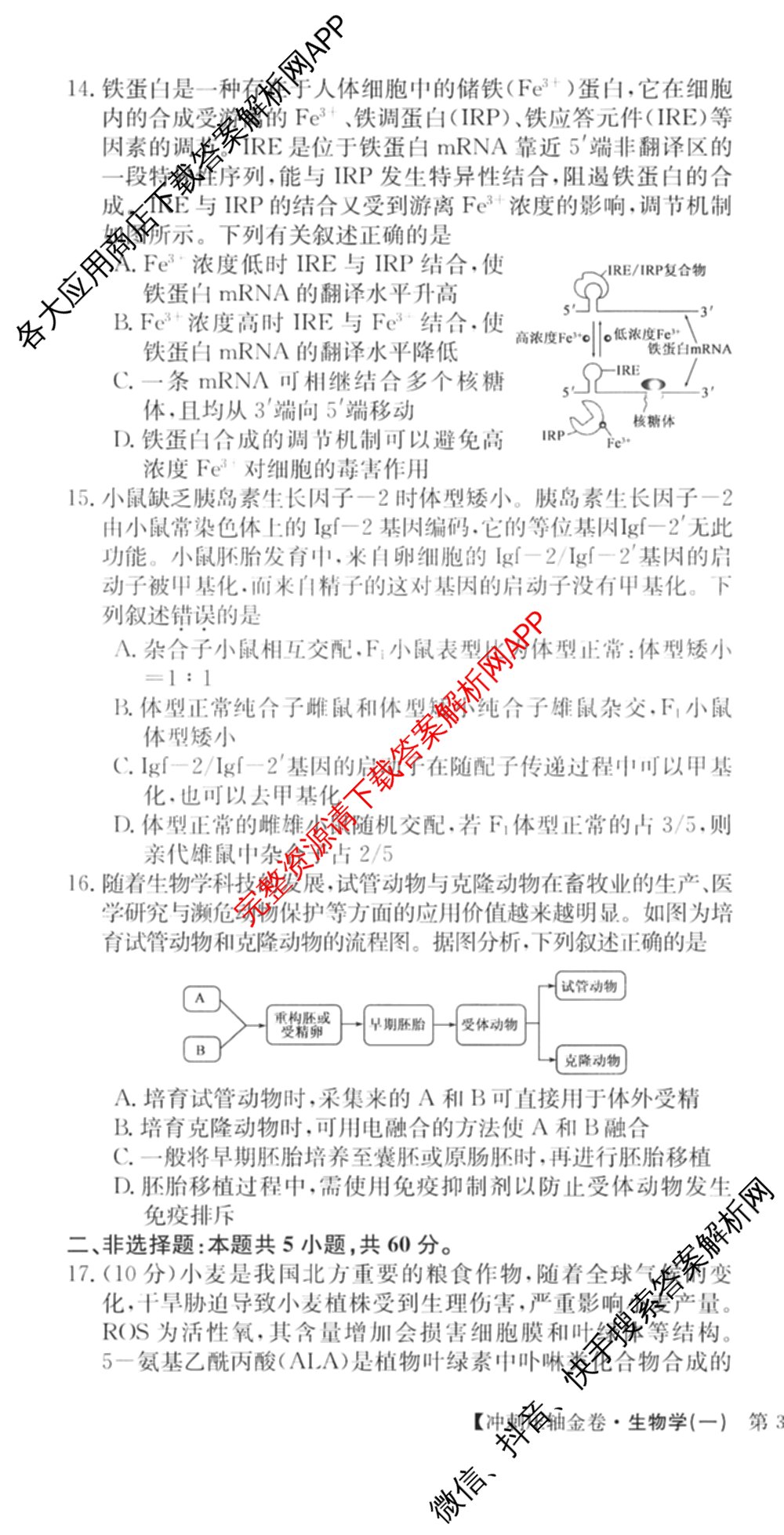 XKB2025届普通高等学校招生全国统一考试冲刺压轴金卷(一)1（含物理(XKB-G10-EX) 英语(XKB-G1-EX) 化学(XKB-G1-H-EX)等）生物试题