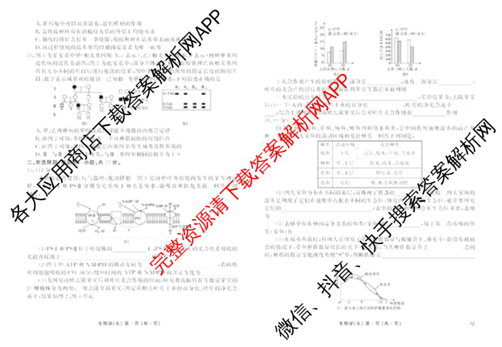 衡水金卷先享题2026年学科素养评价练(五)5各科答案及试卷（含政治(AH)【安徽四川甘肃专版】 物理(HN)【湖南专版】 生物(山东专版)等）生物试题