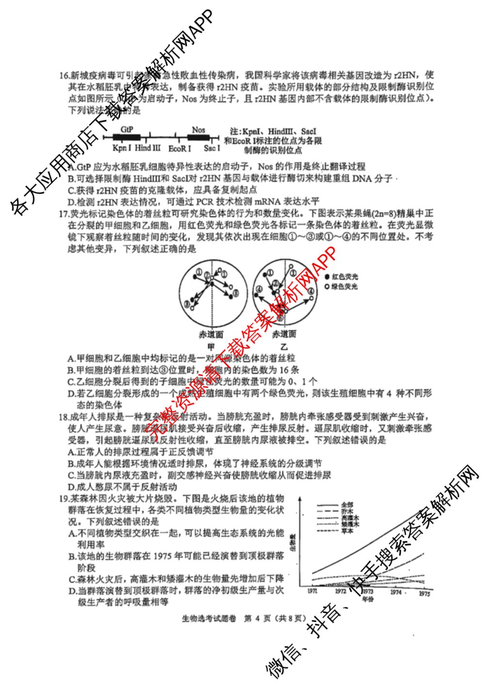 浙江省2025年4月稽阳联谊学校高三联考试卷及答案汇总（含地理 数学 语文等）生物试题
