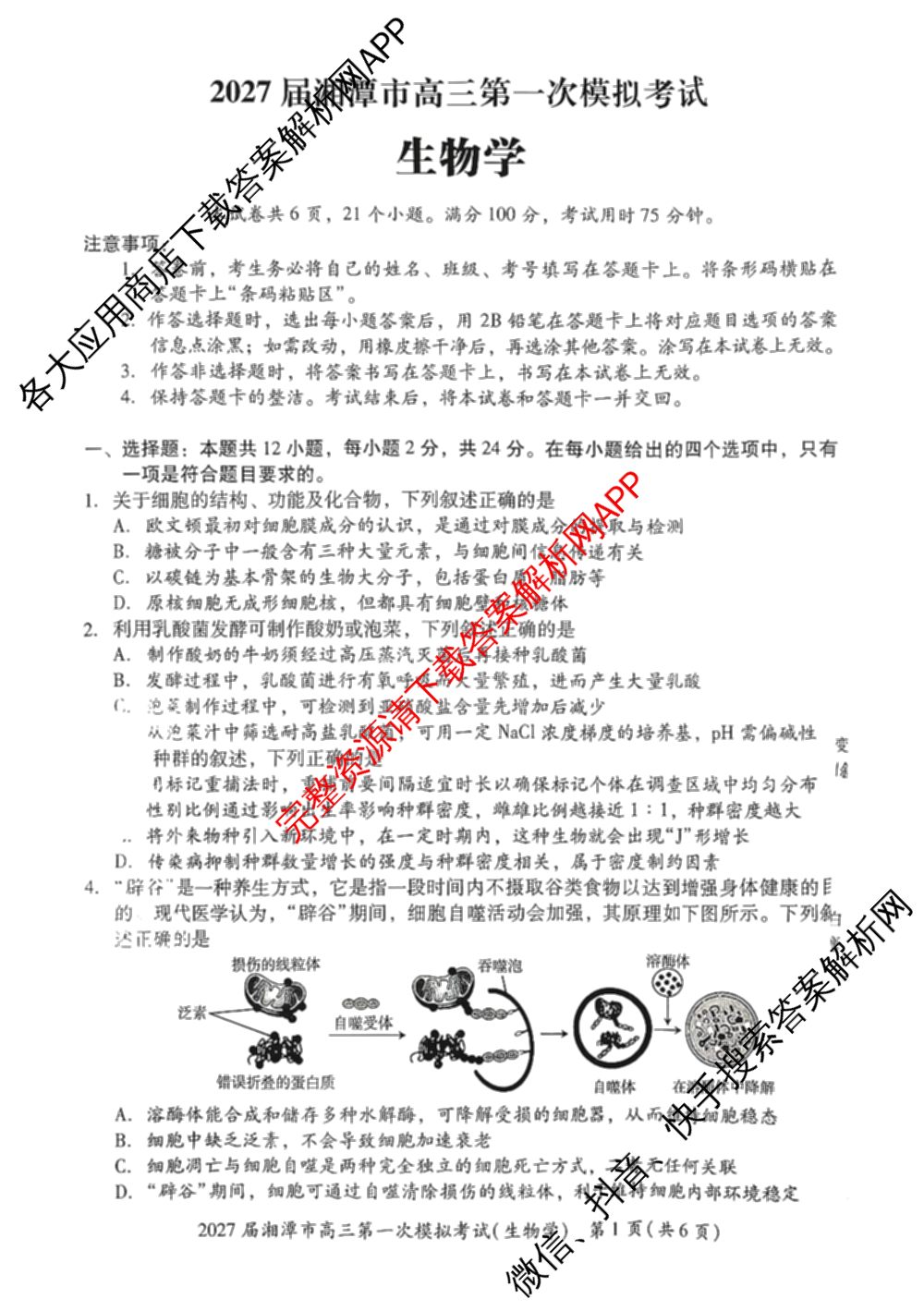 湖南省2027届湘潭市高三第一次模拟考试(8.29)各科答案及试卷（9科全）生物试题
