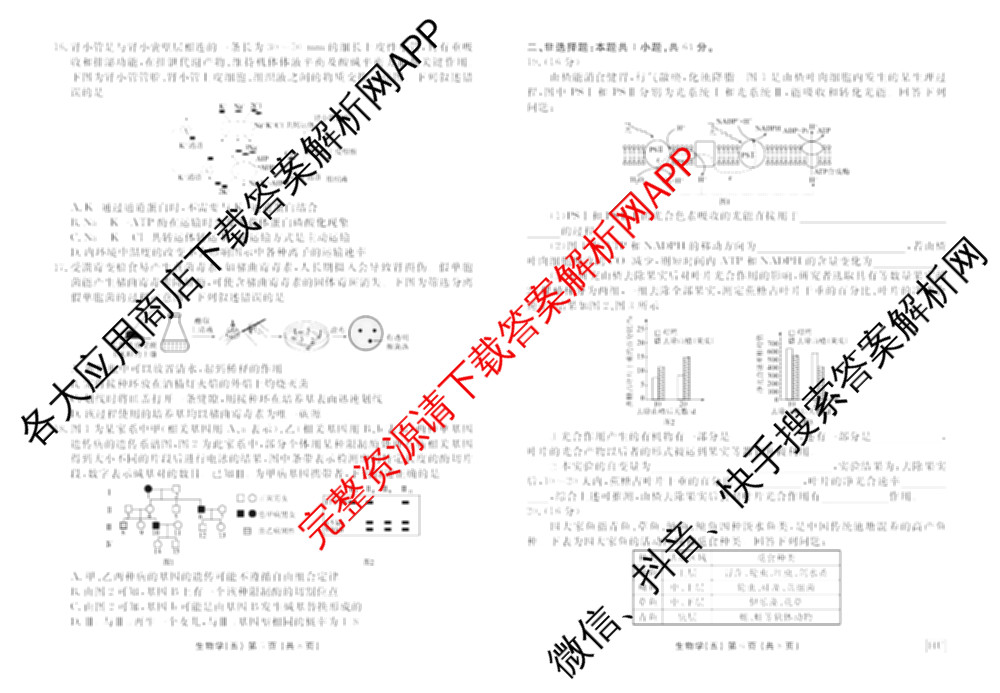 衡水金卷先享题2026年学科素养评价练(五)5各科答案及试卷（含政治(AH)【安徽四川甘肃专版】 物理(HN)【湖南专版】 生物(山东专版)等）生物试题