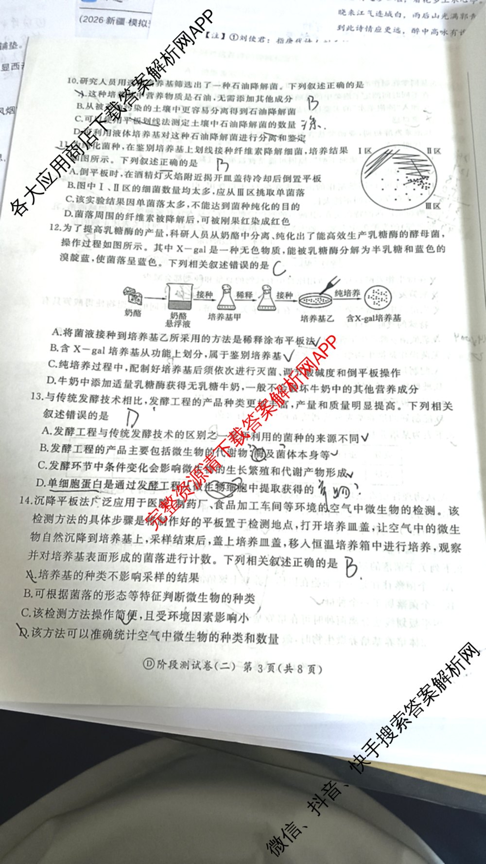 百师联盟2025-2026学年高二下学期阶段测试卷(二)2试卷及答案汇总（含生物(D75分钟 多选) 数学(BSD) 物理(75分钟多选)等23份）生物试题