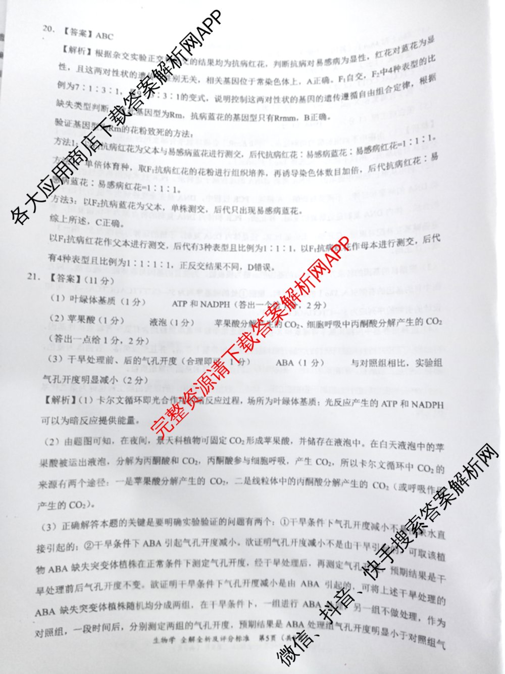 学科网2025届高三4月大联考试卷及答案汇总（含物理(新高考卷C) 文综(新课标卷) 英语(新课标卷A)等）生物答案