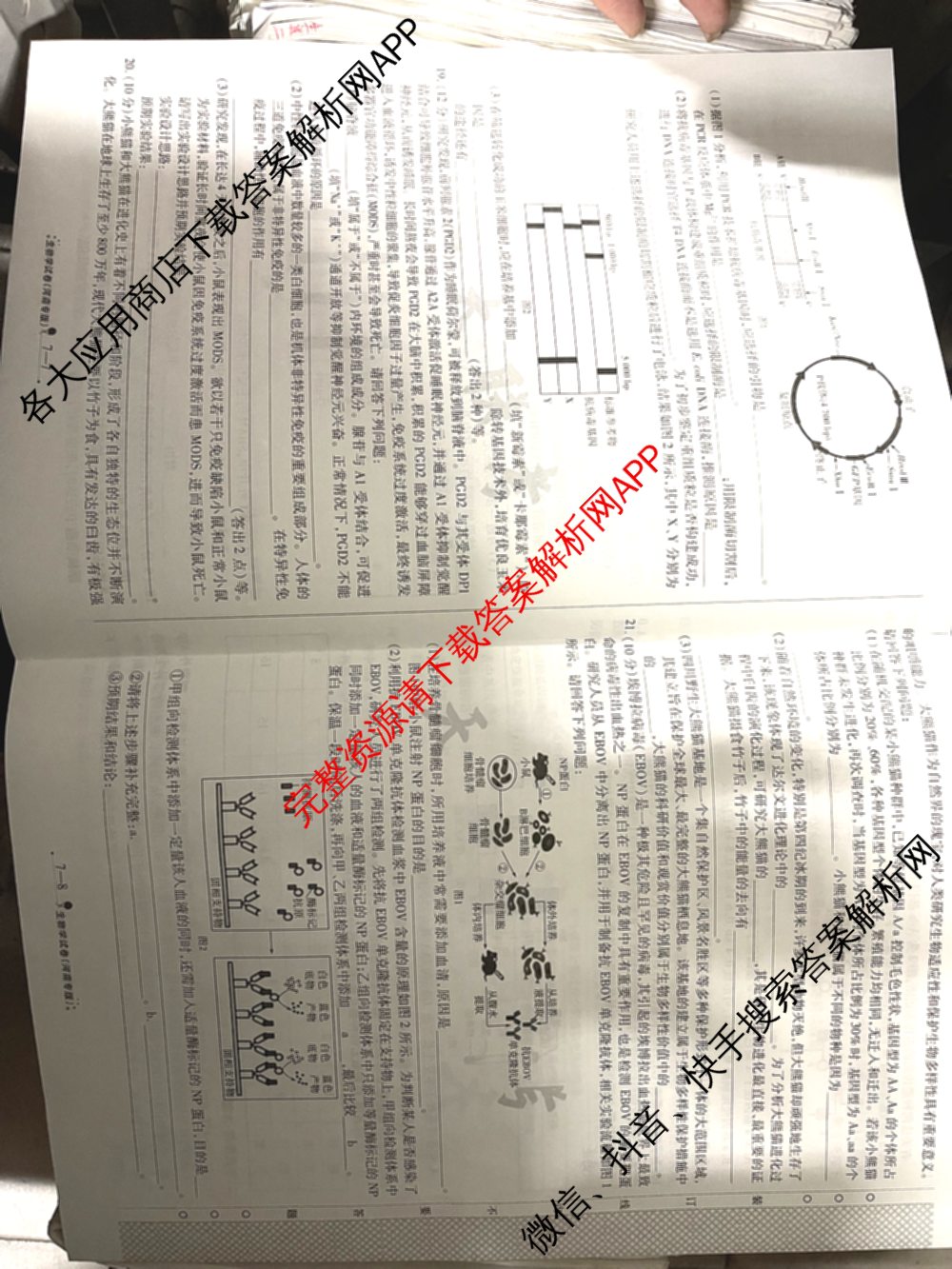 天一大联考2025届高考全真模拟卷(七)7试卷及答案汇总(已更新化学(河南专版) 历史(安徽专版) 历史(河南专版)等39份)生物试题