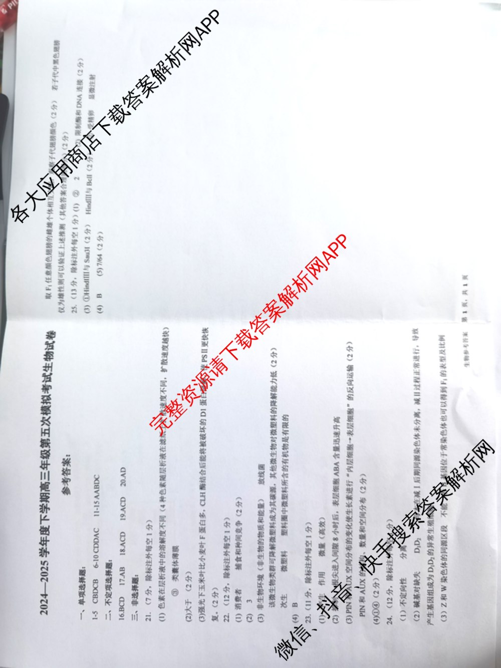 辽宁省实验中学2024-2025学年度下学期高三年级第五次模拟考试试卷及答案汇总（含化学、地理、物理等9份）生物答案