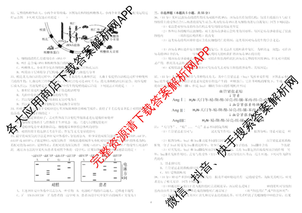 哈师大附中2023级高二下学期期末考试（9科全）生物试题