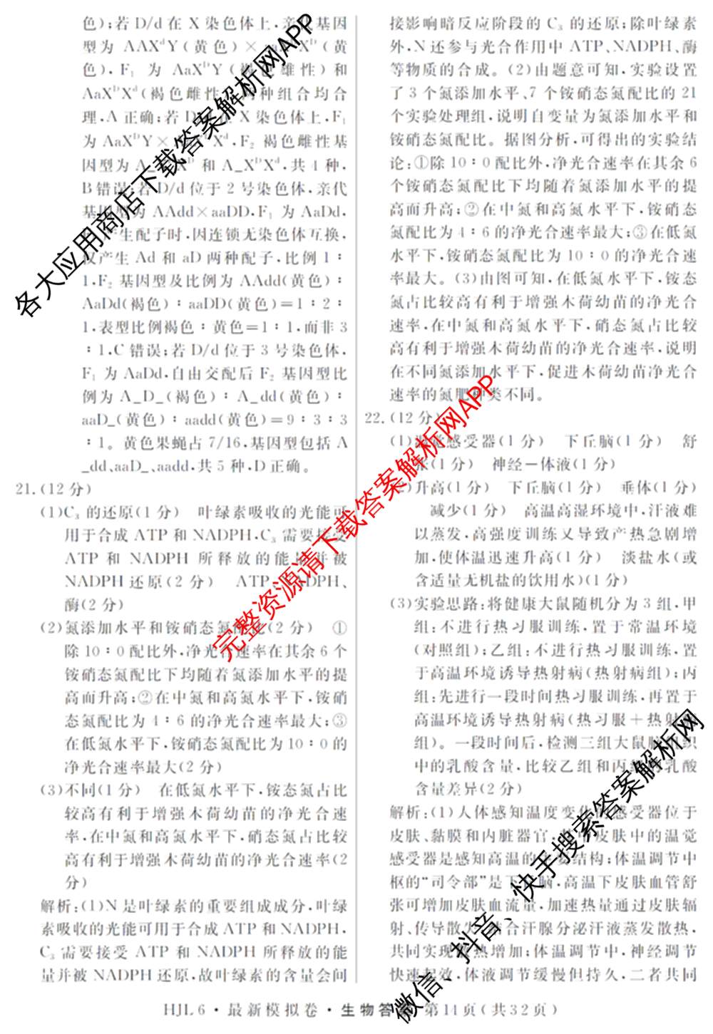 2026年普通高等学校招生统一考试最新模拟卷(三)3(已更新化学(XS6J)、历史(新S6J)、生物(HN6)等40份)生物答案