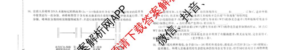 天舟高考衡中同卷2026年普通高等学校招生全国统一考试模拟信息卷(三)3试卷及答案汇总(已更新地理(WY)、数学(无字母)、文综(新疆版)等35份)生物试题