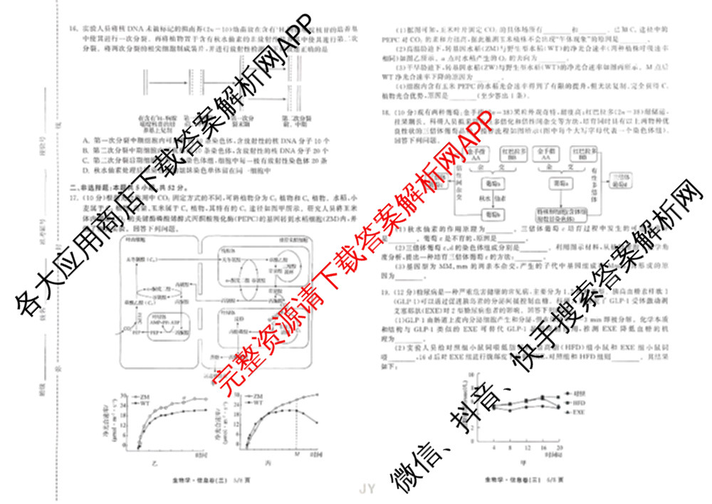 天舟高考衡中同卷2026年普通高等学校招生全国统一考试模拟信息卷(三)3各科答案及试卷（含历史(WS)、物理(HJ)、语文(通用版)等）生物试题