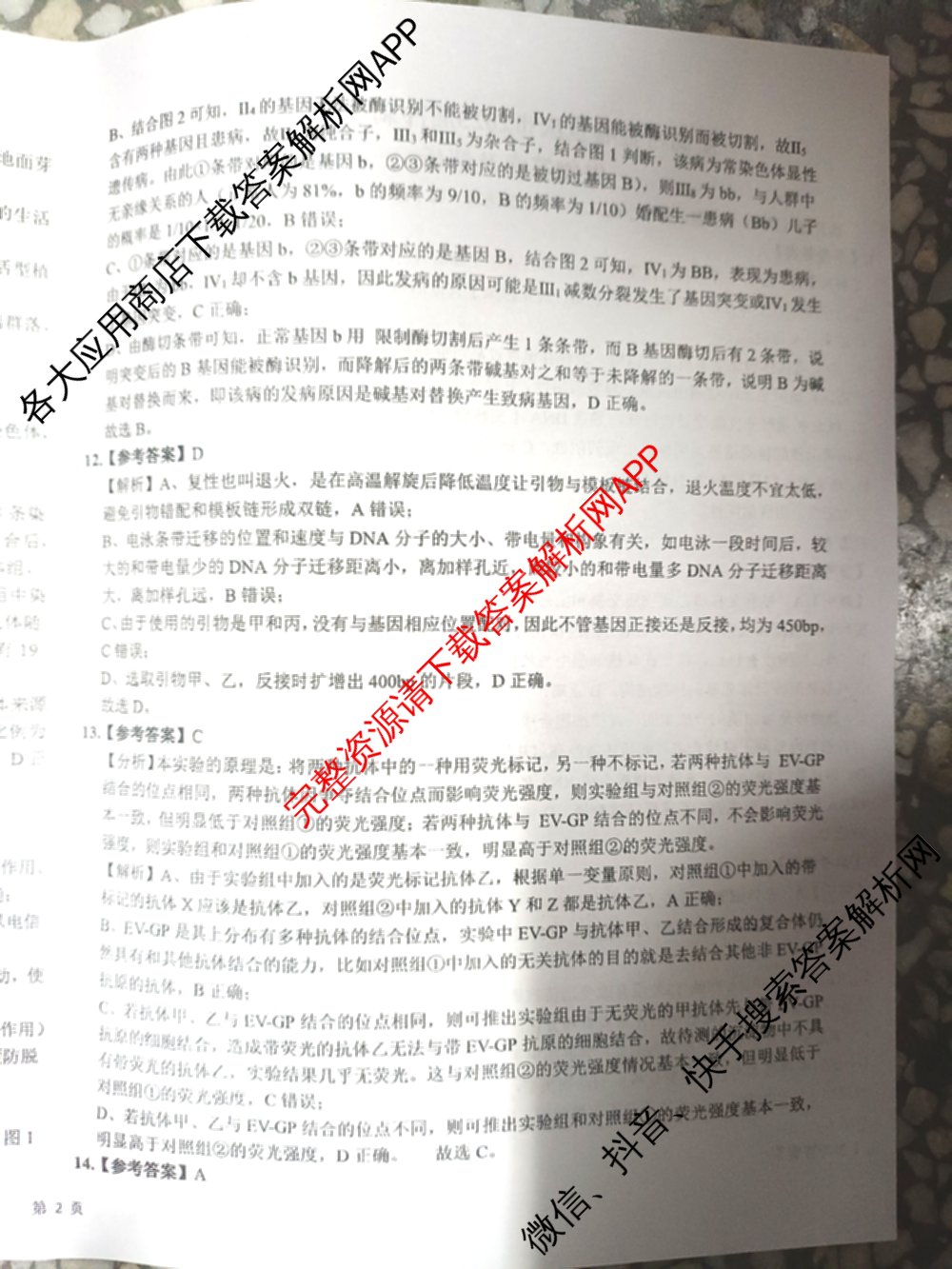 新高考金卷重庆市2025届冲刺卷(五)各科答案及试卷（含数学 地理 历史等）生物答案