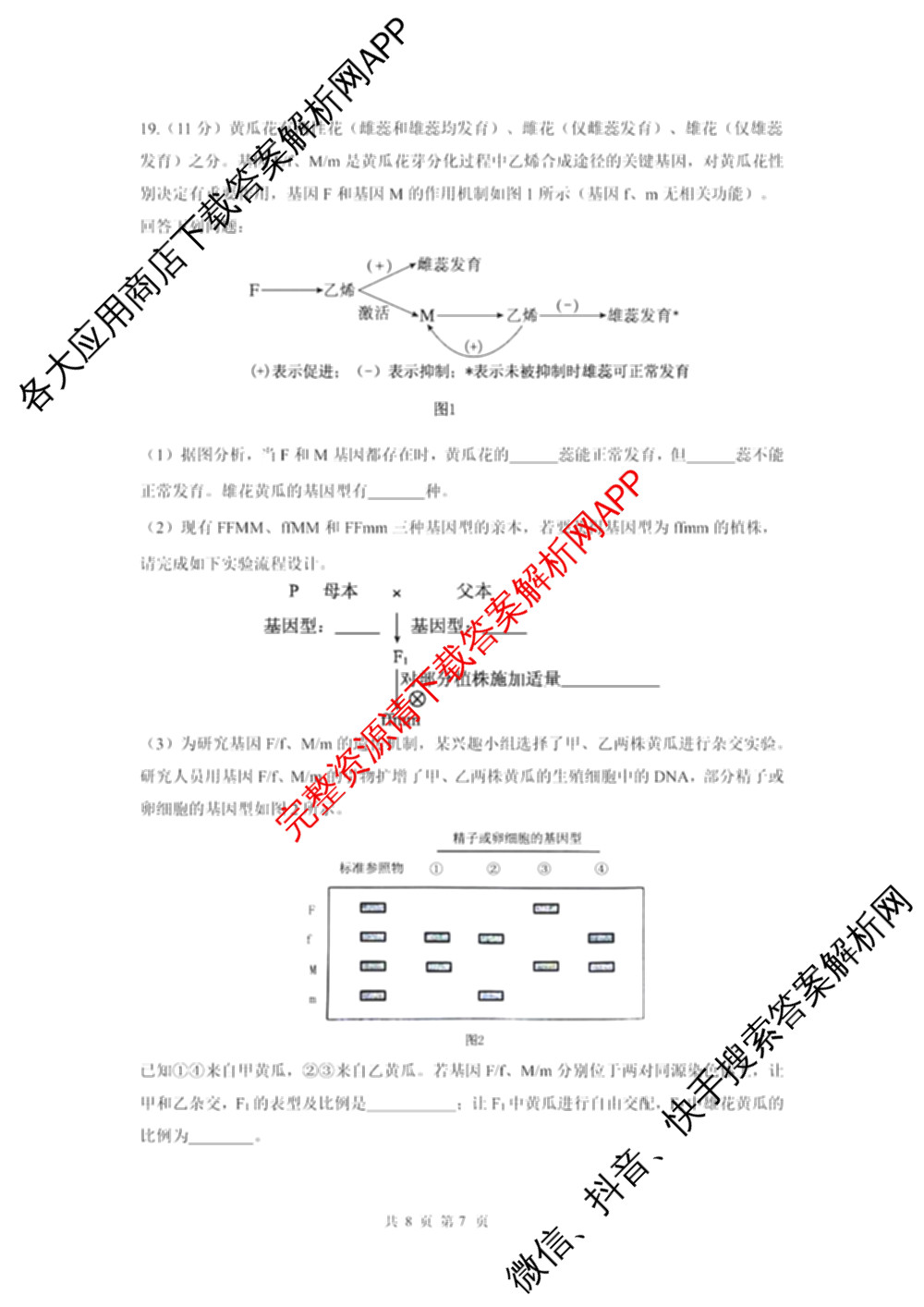 成都七中2025-2026学年度高三(上)一诊模拟检测试卷及答案汇总（含数学 生物 英语等9份）生物试题