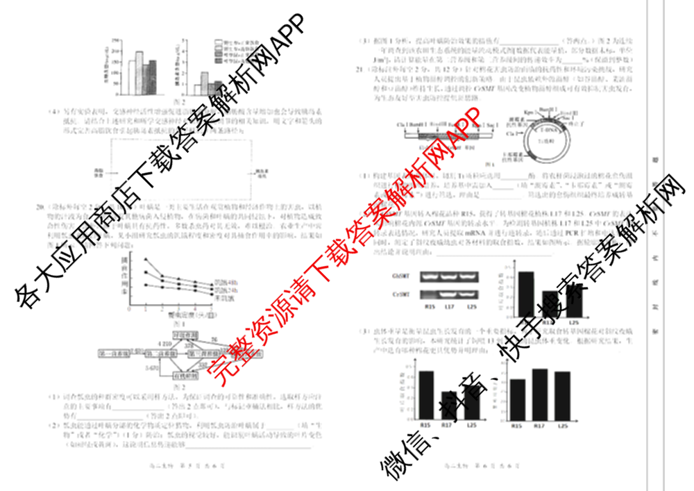 湖南省2024-2025学年高二试卷5月联考(5.28)（含化学、语文、历史等9份）生物试题