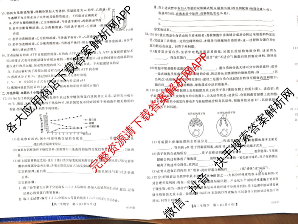 陕西省绥德一中2027届高二第二学期期末质量检测(6460B)试卷及答案汇总: 含地理 英语 数学试卷解析生物试题