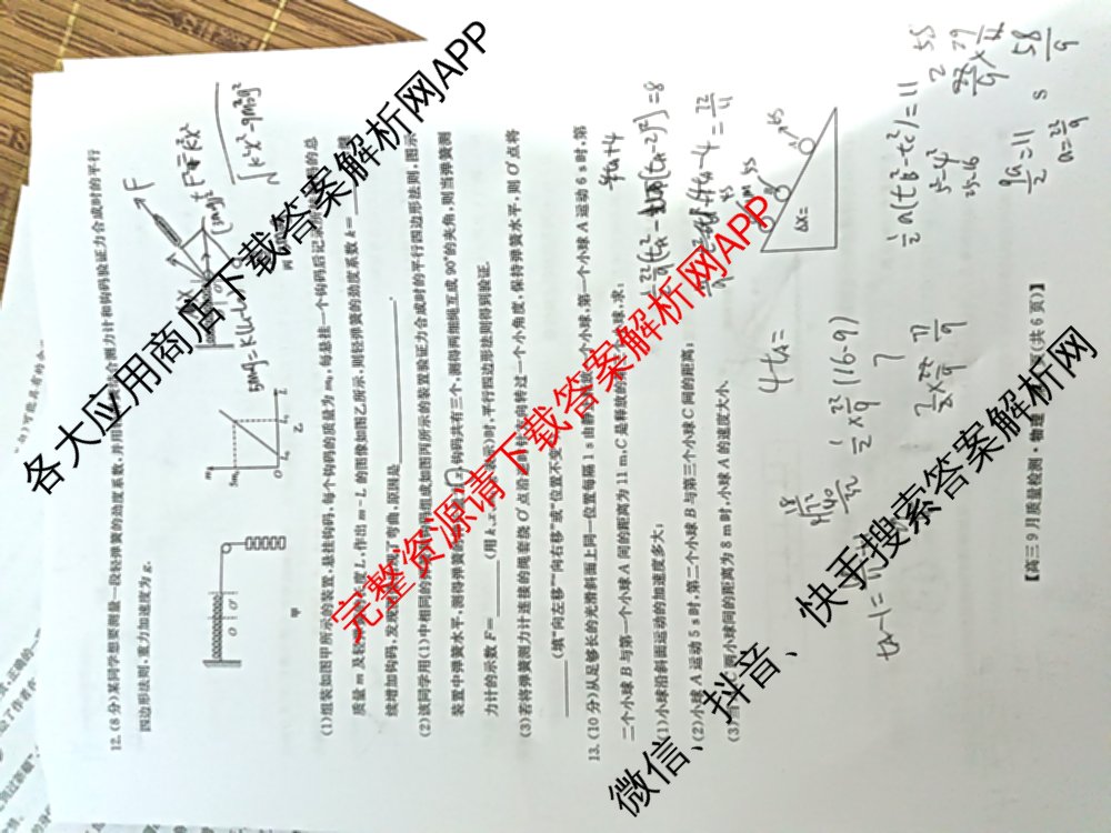 九师联盟2026届高三9月教学质量监测(9.28)试卷及答案汇总(已更新生物(LY) 语文(X) 政治(F)等20份)物理试题