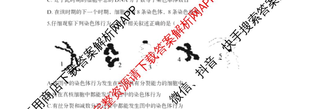 山西省太原市山西大学附中2025-2026学年高三8月月考: 含政治 地理 数学试卷解析生物试题