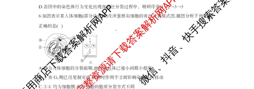 山西省太原市山西大学附中2025-2026学年高三8月月考: 含政治 地理 数学试卷解析生物试题