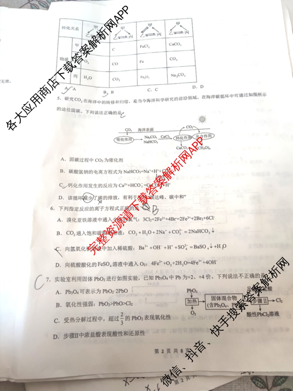 智学大联考皖中名校联盟合肥八中2024-2025学年第一学期高一年级期中检测试卷及答案汇总（9科全）化学试题