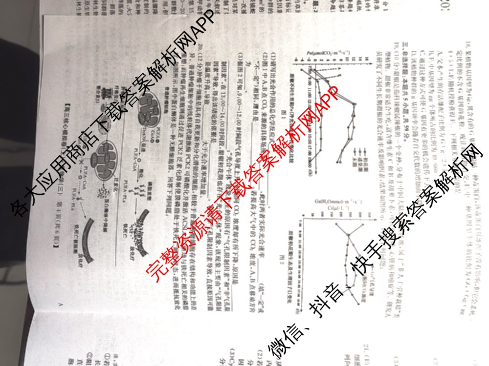 九师联盟2024~2025学年高三核心模拟卷(上)(三)3试卷及答案汇总: 含政治(A)、物理(HF)、语文试卷解析生物试题