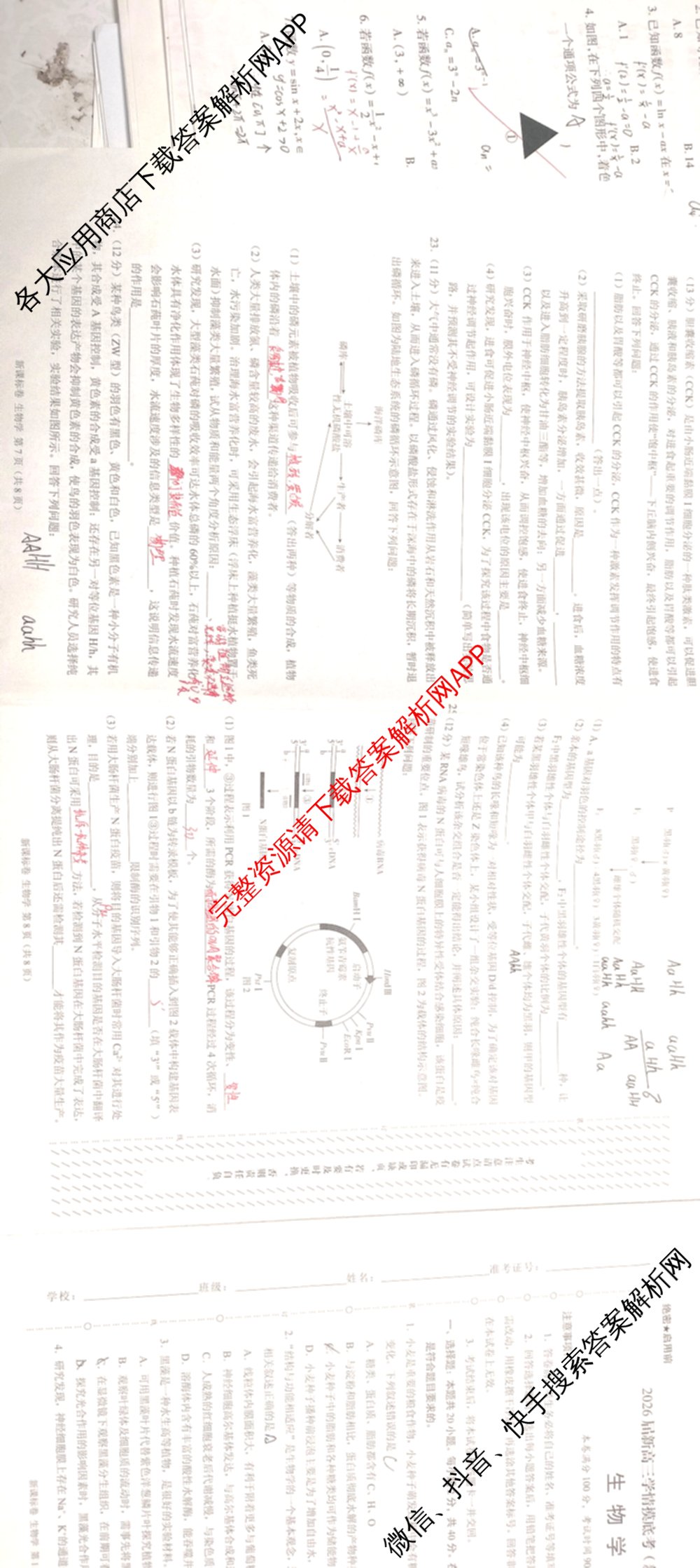 学科网2026届新高三学情摸底考各科答案及试卷（含地理(甘肃) 历史(新课标卷) 历史(甘肃)等58份）生物试题