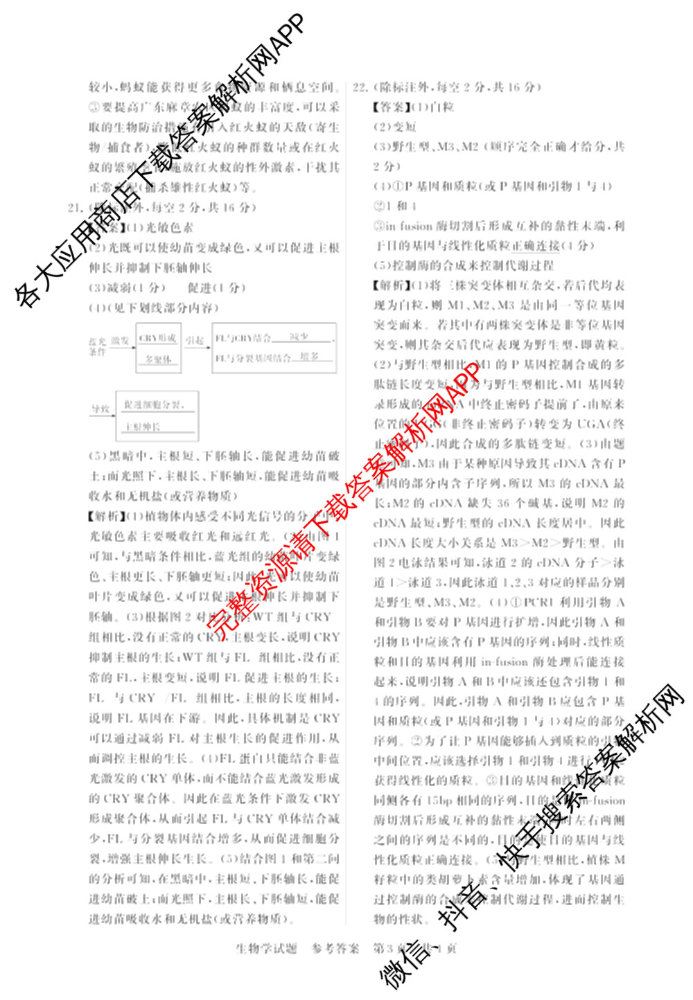 2025届高三部分重点中学3月联合测评(T8联考)(第二次八省联考)(已更新化学(HBZB)、历史(SXZB)、语文等25份)生物答案
