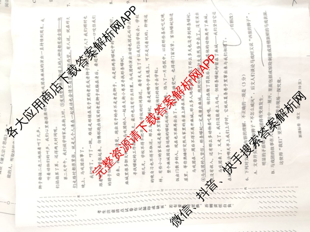 学科网2025届高三10月大联考各科答案及试卷（含历史(新课标卷) 语文(新课标卷) 语文(新高考卷)等17份）语文试题