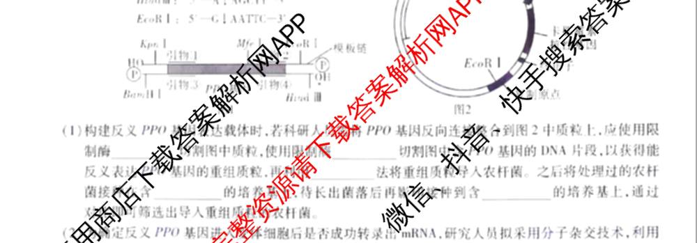 江淮十校2026届高三第一次联考(2025.8)各科答案及试卷（含语文、化学、政治等）生物试题