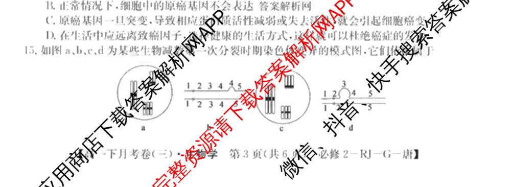 2025~2026全国名校高一下学期第三次月考试卷各科答案及试卷（含生物学(必修2-RJ-G-唐)、化学(必修第二册-RJ-G-唐)、英语(必修第三册-WY-G-唐)等）生物试题
