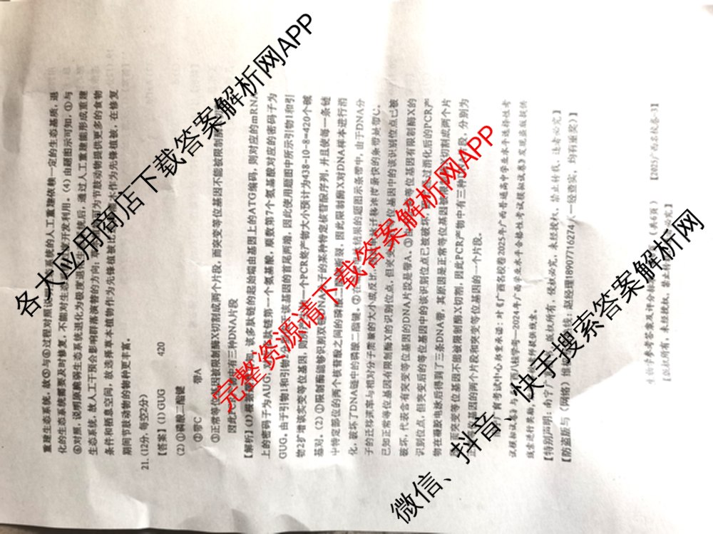 广西名校高考模拟试卷第一次调研考试[2025广西名校卷-3]（含化学 物理 历史等）生物答案