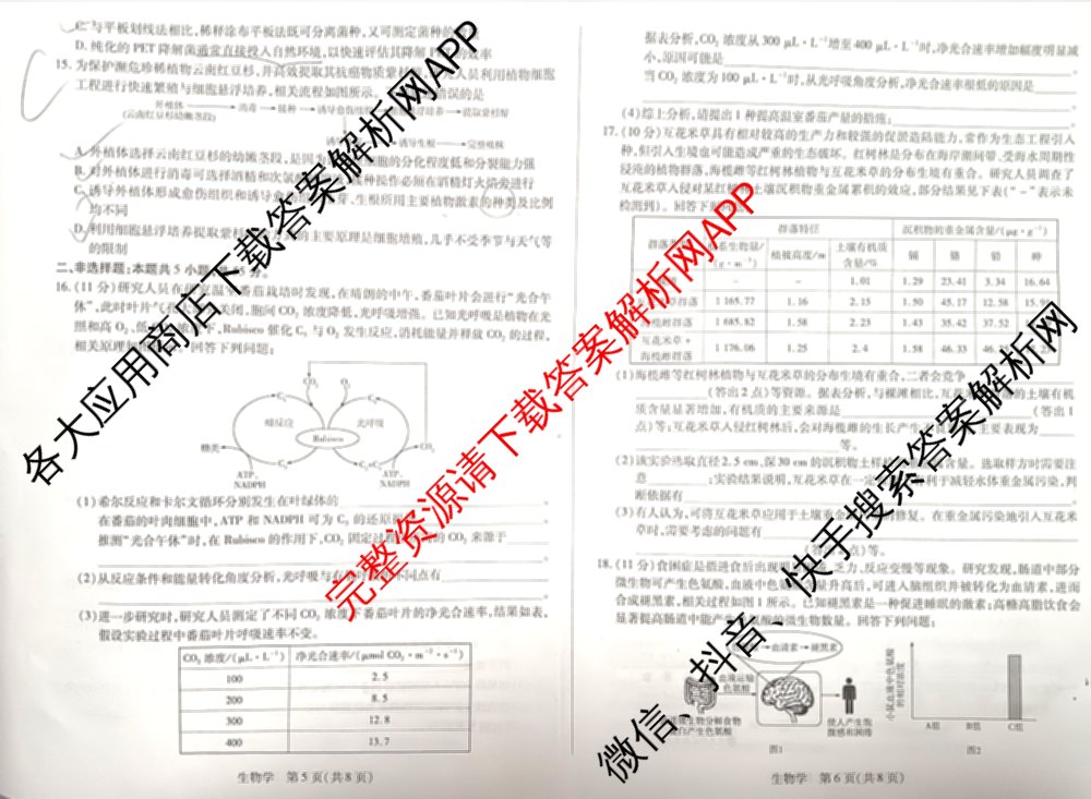 天一大联考2025-2026学年高三3月(二)联考: 含政治 历史 英语试卷解析生物试题