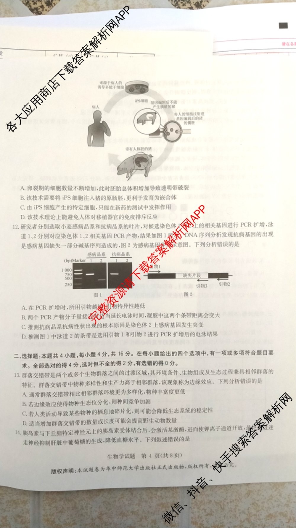 华大新高考联盟2026届高三9月教学质量测评各科答案及试卷（含生物 语文 数学(新高考卷)等）生物试题