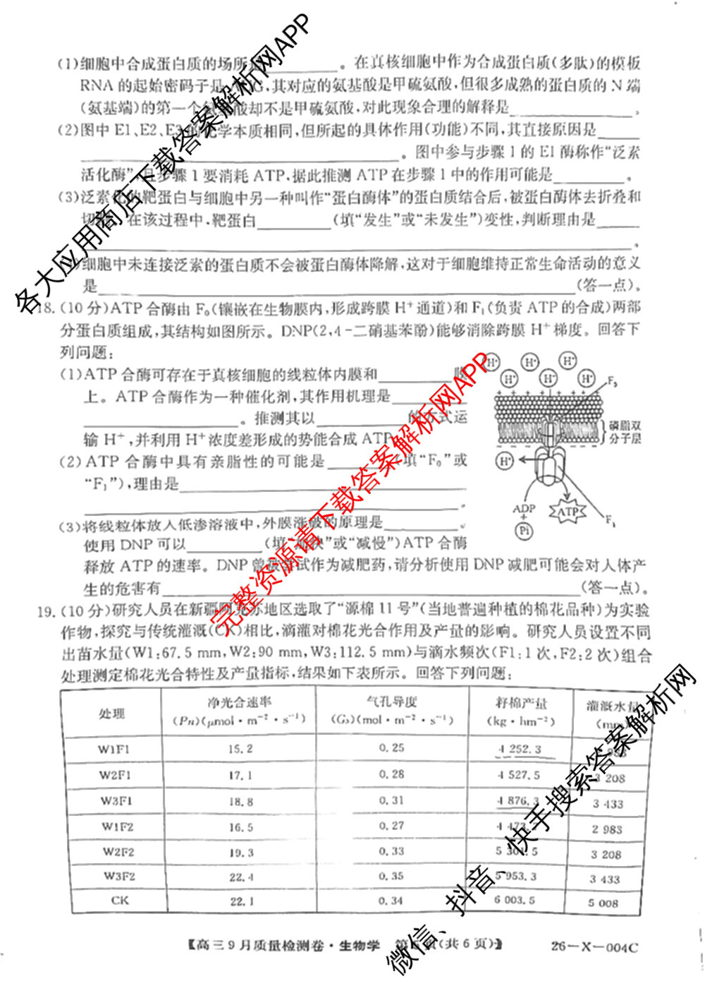 2025~2026学年高三9月质量检测卷(26-X-004C)试卷及答案汇总（含物理 生物 地理等）生物试题