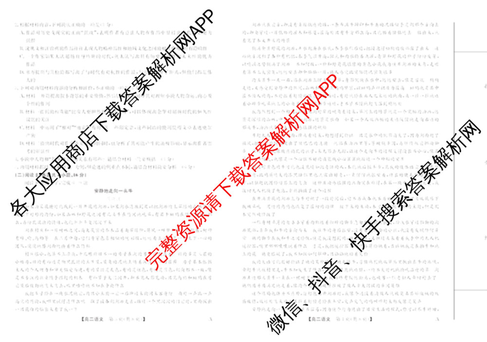 2024-2025学年福建百校高二期末考试(7月)各科答案及试卷（含化学(A)、数学(A)、物理(A)等）语文试题