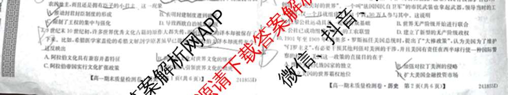 山西省2023-2024学年高一期末质量检测卷(241855D)各科答案及试卷(已更新生物 地理 政治等10份)历史试题