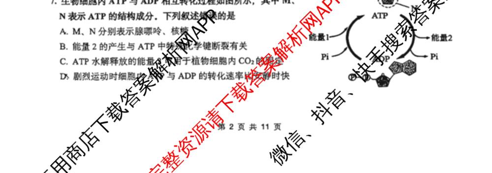新疆乌鲁木齐市第一中学2026-2027学年第一学期2027届高三年级第一次月考各科答案及试卷（含物理、英语、语文等9份）生物试题