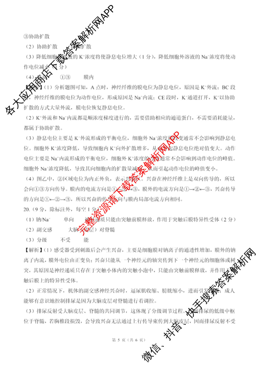 百师联盟2025-2026学年度高二9月联考（含数学(百RA) 英语(百A) 历史等11份）生物答案