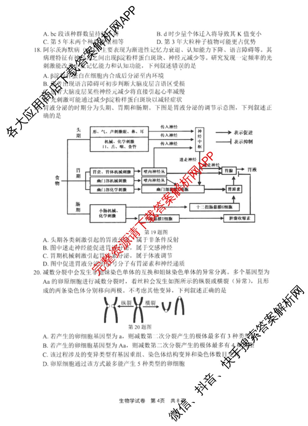 宁波市2025学年第二学期高考模拟考试高三(4月)试卷及答案汇总(已更新物理、英语、语文等10份)生物试题