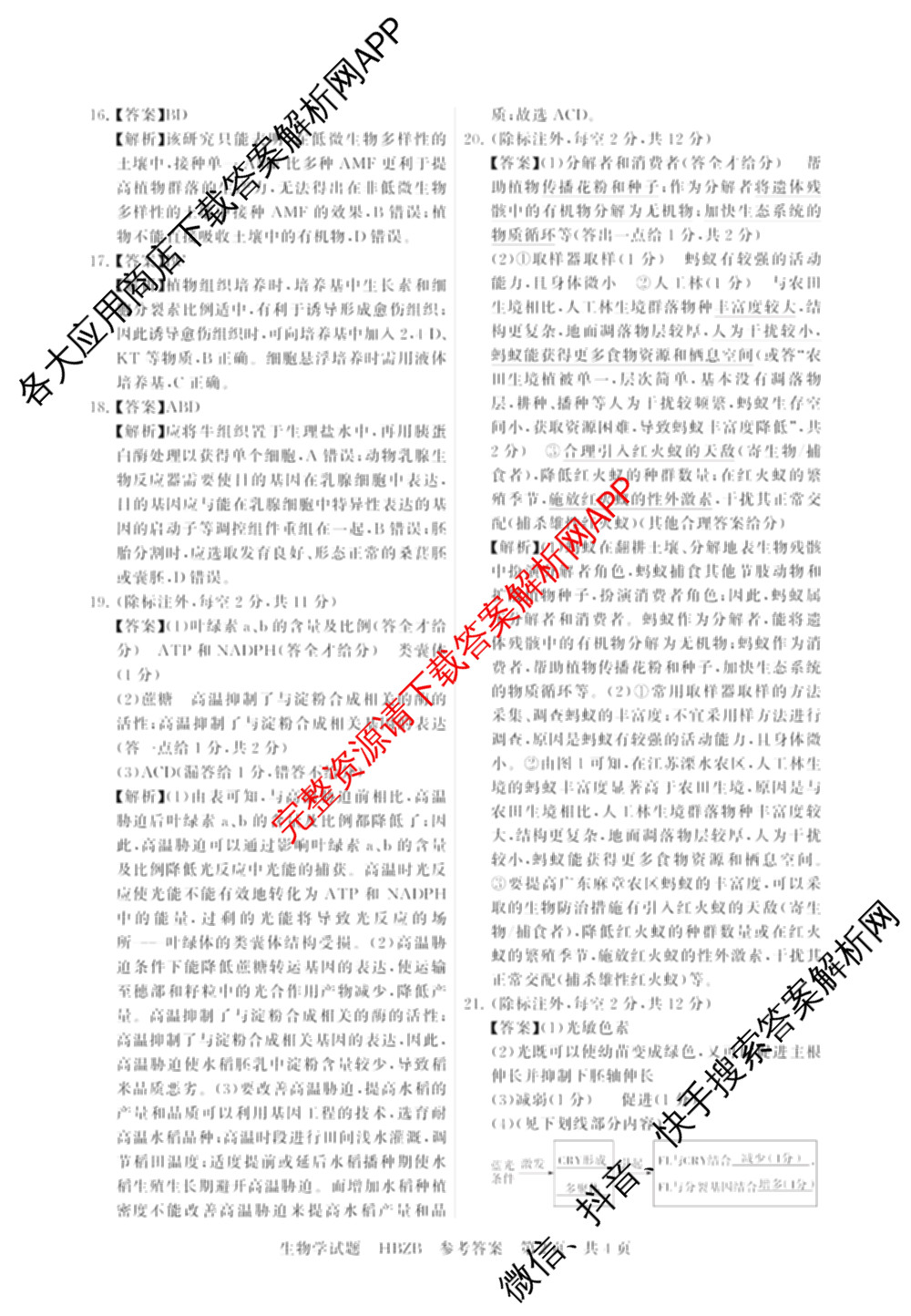 2025届高三部分重点中学3月联合测评(T8联考)(第二次八省联考)(已更新化学(HBZB)、历史(SXZB)、语文等25份)生物答案