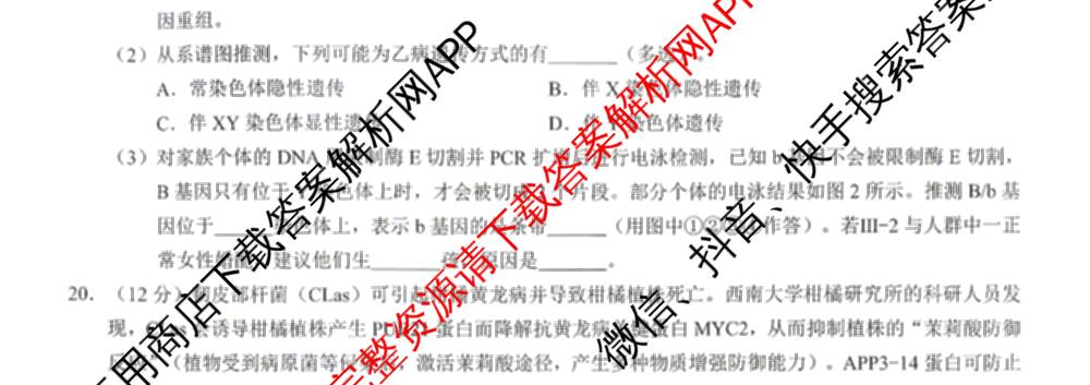 [康德二诊]重庆康德2026年重庆市普通高中学业水选择性考试高三第二次联合诊断检测各科答案及试卷（含语文、英语、化学等）生物试题