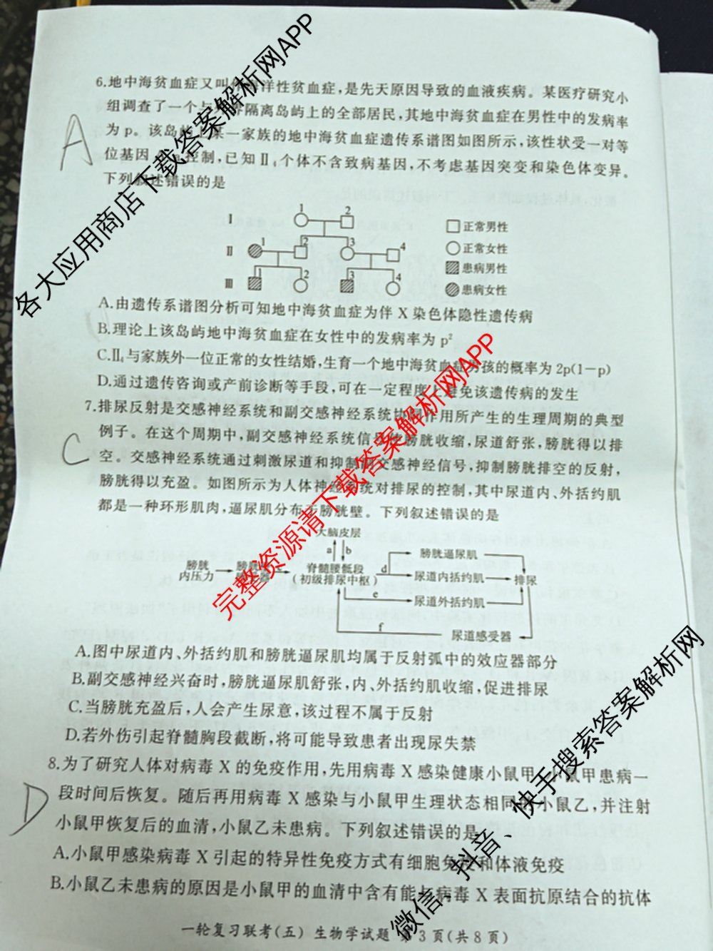 百师联盟2025届高三一轮复习联考(五)各科答案及试卷: 含地理(百S) 政治(百J) 政治(百S)试卷解析生物试题