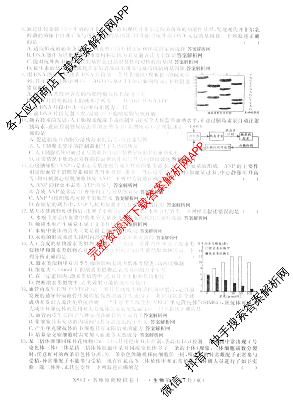 2026届高三总复习名师原创模拟(十一)11各科答案及试卷（含语文(XS6J)、语文(XS6G)、历史(新S6J)等）生物试题