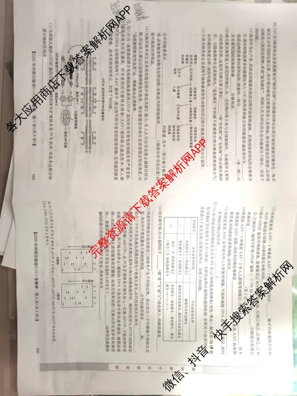 2026年全国高考冲刺压轴卷(一)1（含生物(河南) 地理(C2) 数学等）生物试题
